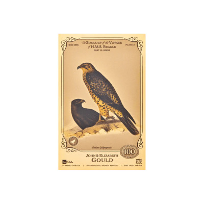 The John and Elizabeth Gould Aurum - H.M.S. Beagle Collection