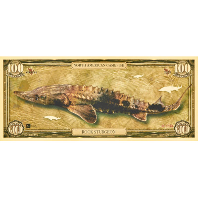 Rock Sturgeon - 24k Gold Bill - Series I